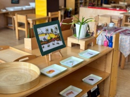 Content of the AMI Montessori Orientation Course for Ages 3-6