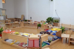 Chiêu Sinh Khóa Học Trợ Tá Montessori 0-3 Tuổi Lần Đầu Tiên Tại TP.HCM: Mở Cửa Cho Một Nền Giáo Dục Nhân Văn