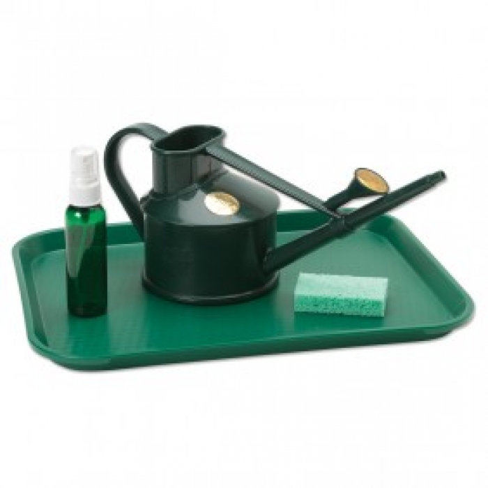 Watering Plants Activity