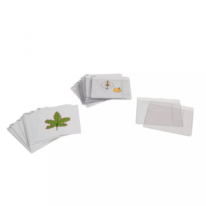 Bộ thẻ thực vật học thứ ba (Third Set Of Botany Cards)