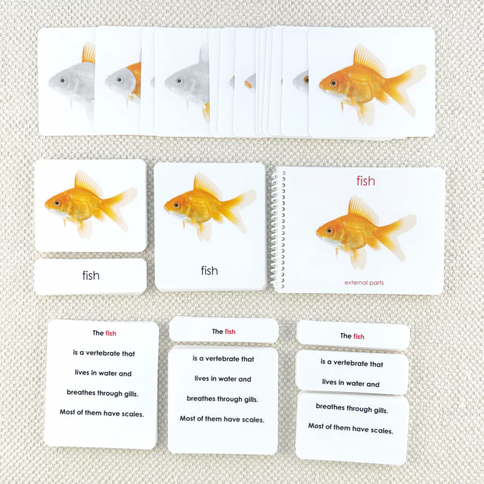 Các phần của bộ sách và thẻ hình cá (Parts of the Fish Book and Card Set)