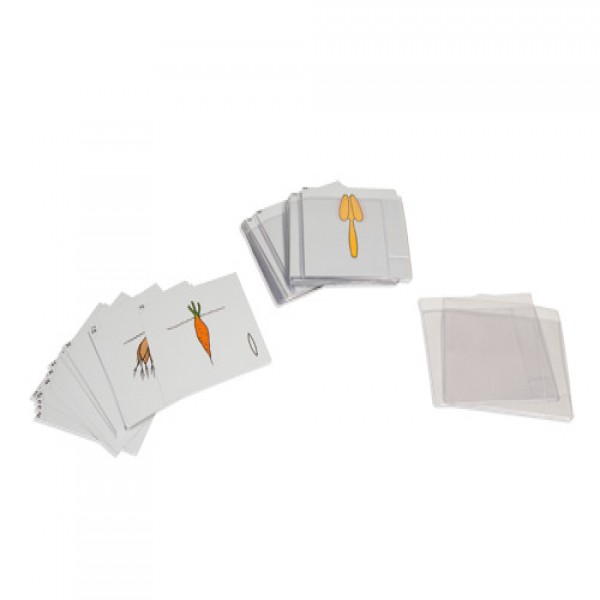 Bộ thẻ thực vật học thứ hai