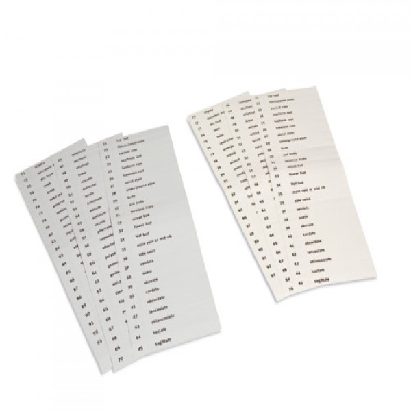 Thẻ tên của bộ thẻ thực vật học thứ hai