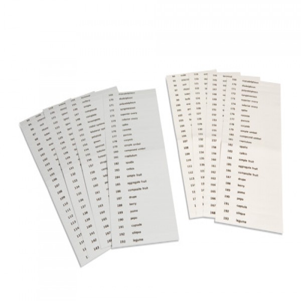 Thẻ tên của bộ thẻ thực vật học thứ ba