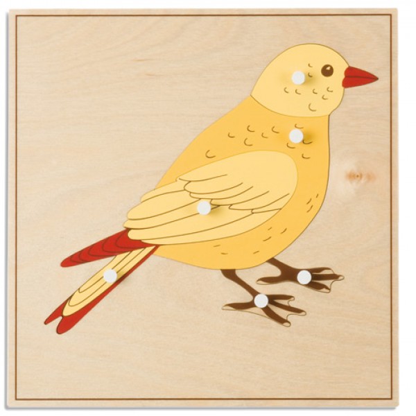 Bảng xếp hình động vật: Con chim