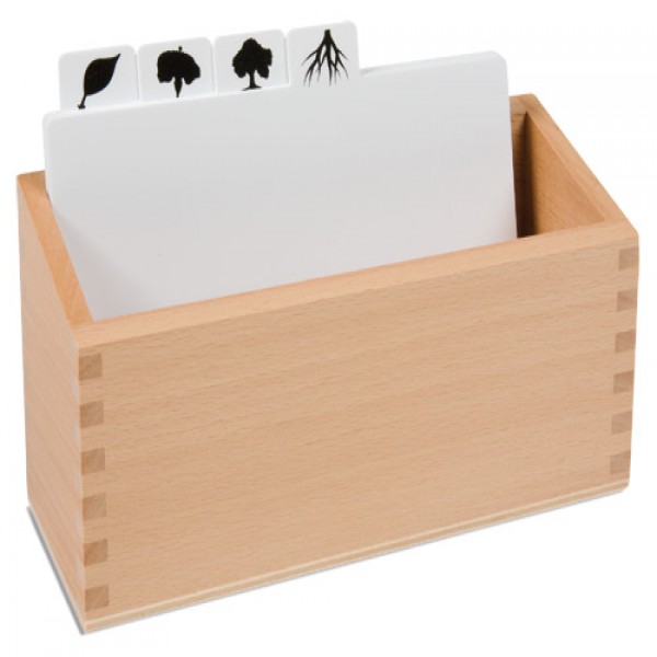 Hộp đựng các thẻ thực vật học