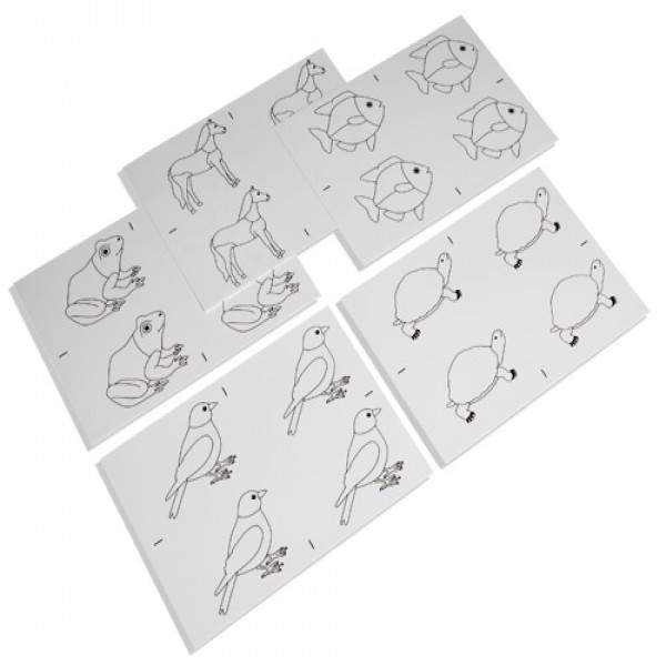 Các thẻ hình vẽ động vật
