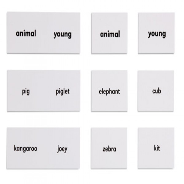 Bộ thẻ tên các con vật và thời nhỏ của chúng