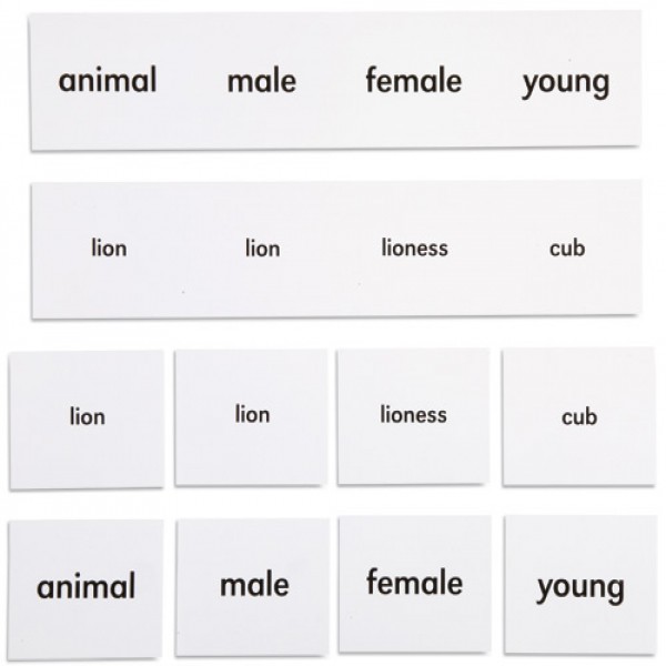 Bộ thẻ tên các con vật