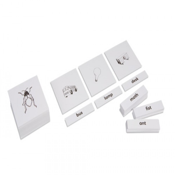 Bộ nhãn dán và hình ảnh minh họa ngữ âm