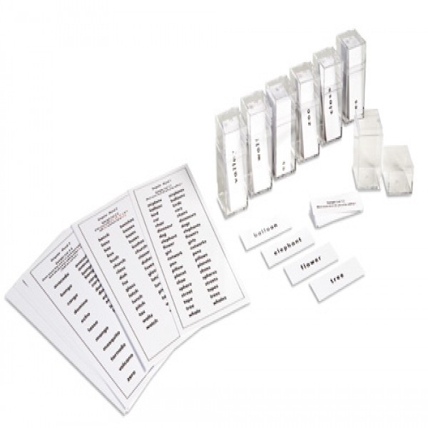 Bài tập danh từ số ít và số nhiều