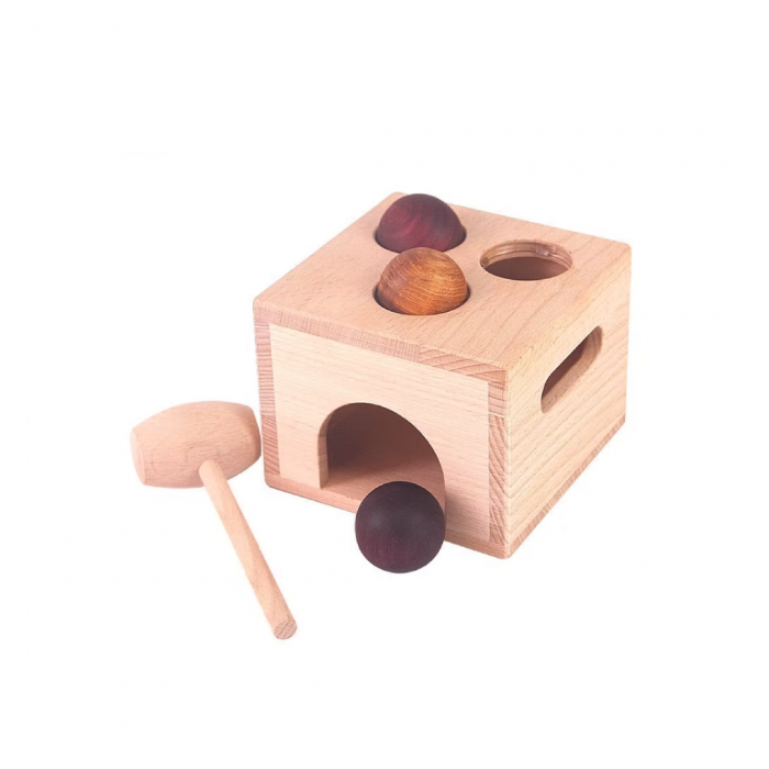 Hộp đẩy/ấn Banh từ 10 - 11 tháng tuổi (Box with Balls to Push)